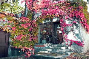 攜程網(wǎng)旅游點(diǎn)取票(攜程旅行取票)
