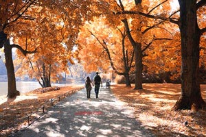 郴州市區(qū)旅游景點(diǎn)？ 郴州市夜晚旅游景點(diǎn)？